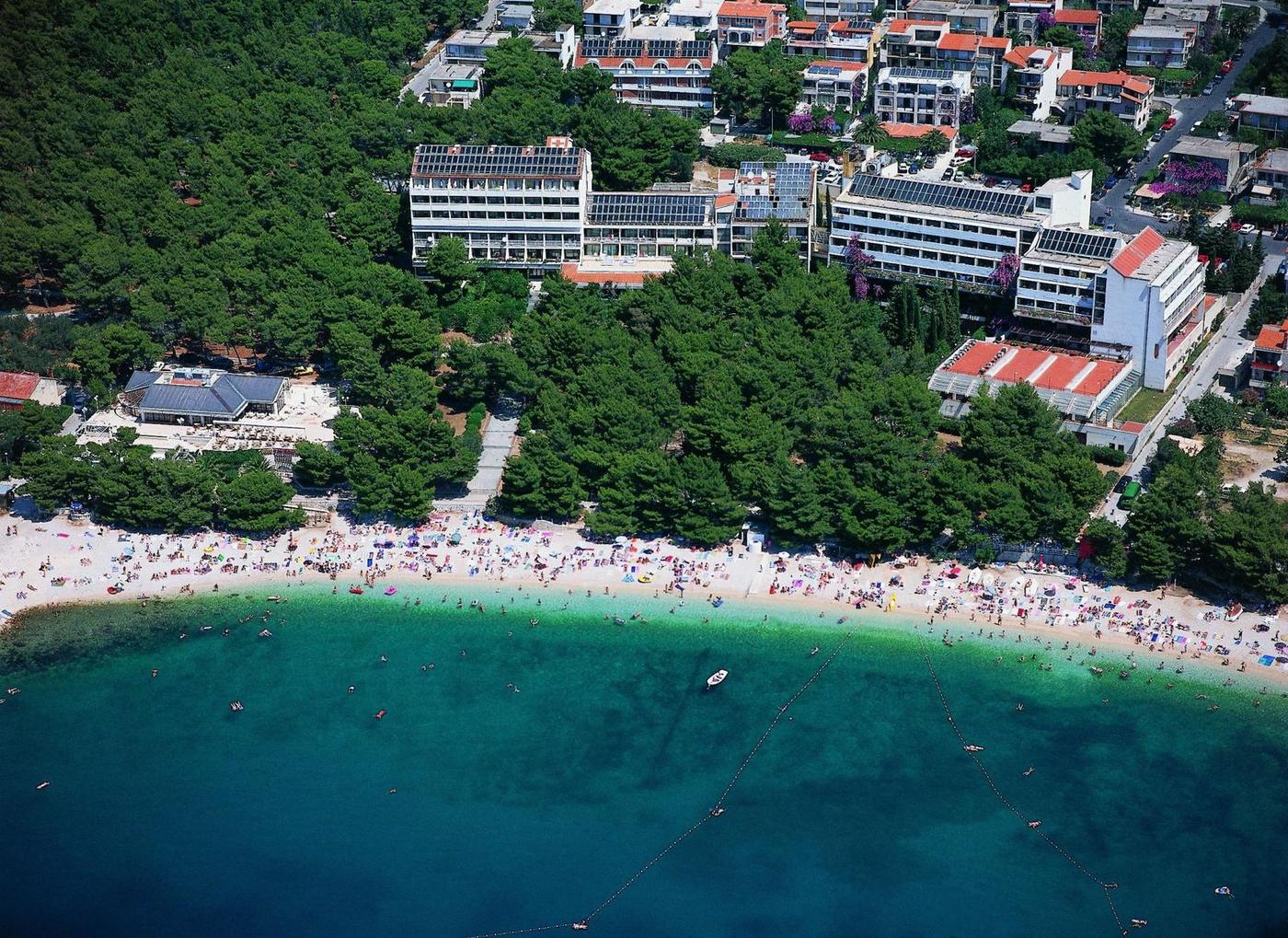 Biokovka in Makarska